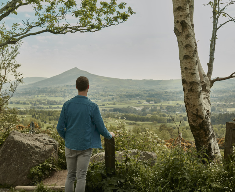 Mercer-Vale-Cherrywood-View